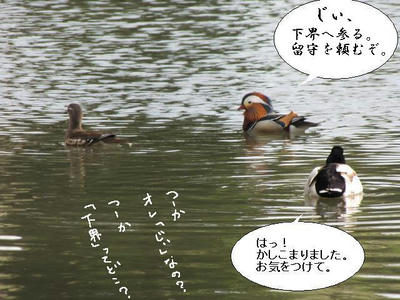 osidori03.JPG
