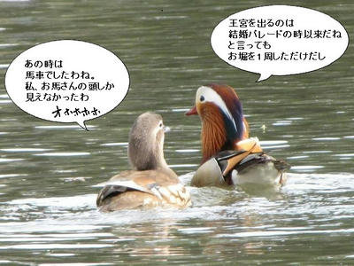 osidori04.JPG