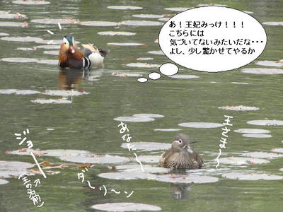 osidori05.jpg