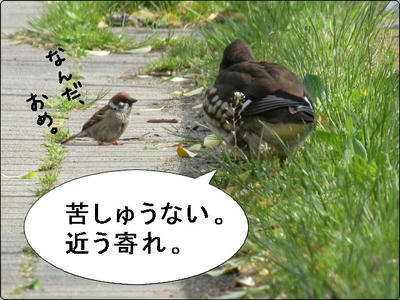 osidori06.jpg
