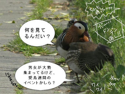 osidori07.jpg