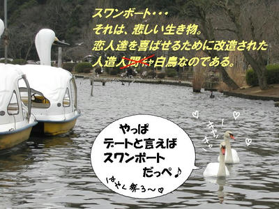 hakuchou05.JPG