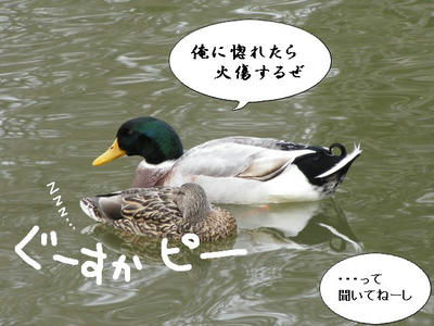 magamo05.JPG