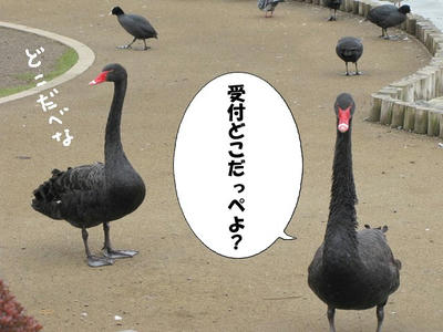 kokuchou05.JPG