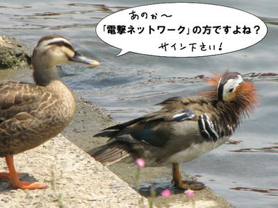 osidori10.jpg