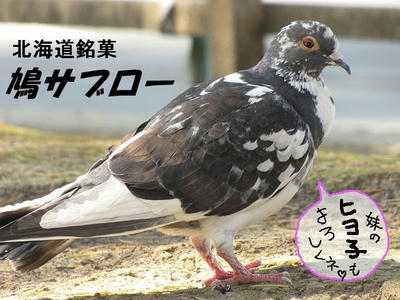 hato01.jpg