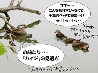 karu-hina05.jpg
