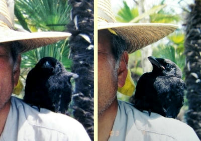 kuro07.jpg