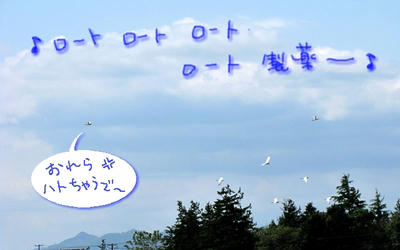 sagi03.JPG