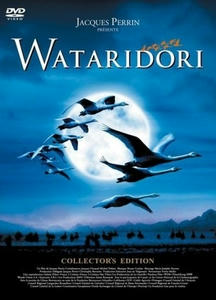 WATARIDORI.jpg