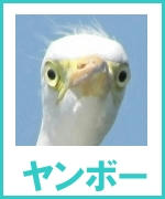 sagi04.jpg