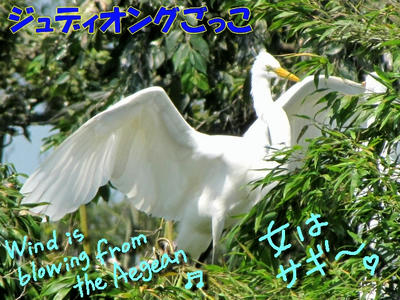 sagi06.jpg