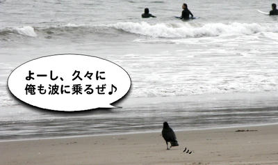 karasu02.jpg