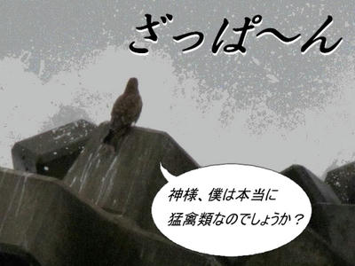 tonbi02.jpg