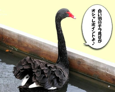 kokuchou03.jpg