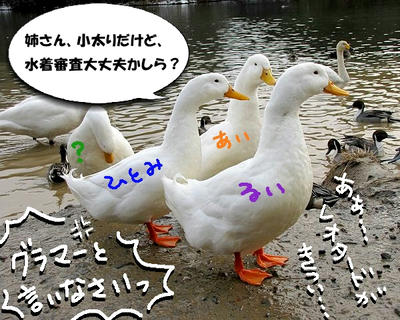 ahiru19.jpg