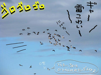 kogamo05.jpg