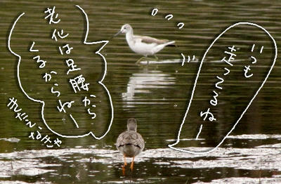 turusigi03.jpg