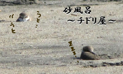sunaburo03.jpg