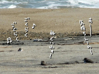 sunaburo02.jpg