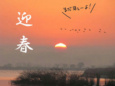 hinode.JPG
