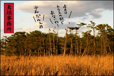 tonbi05.jpg