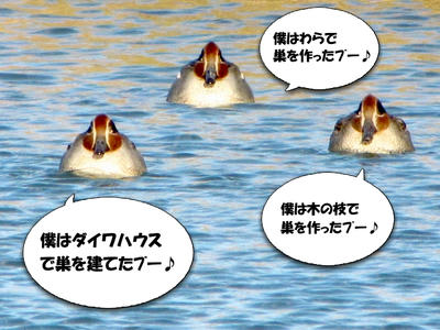 kogamo004.jpg