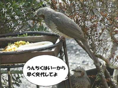 esadai02.jpg