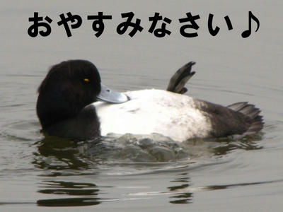 IMG_0169.jpg