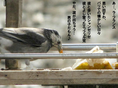 IMG_1247.jpg