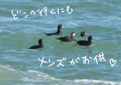 IMG_1858.jpg