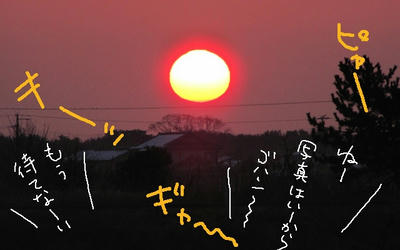 9583f774.jpg