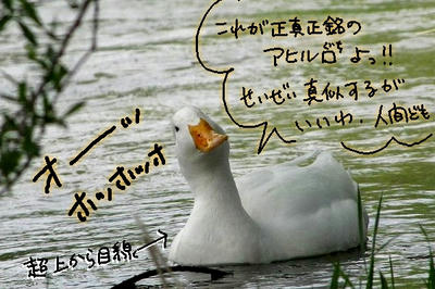 f5ba60a0.jpg