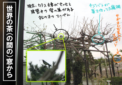 IMG_2993.png