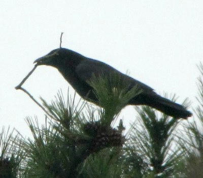 IMG_2981.jpg