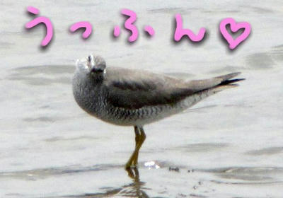 kiasi.jpg