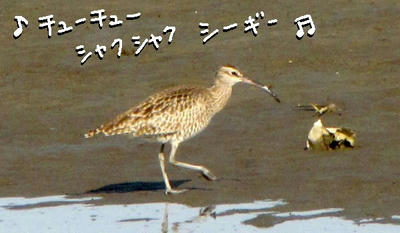 tyusyaku.jpg