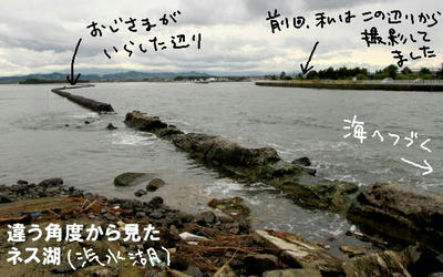 nesuko2.jpg
