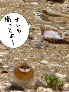 medai05.jpg