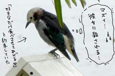 komuku1.jpg