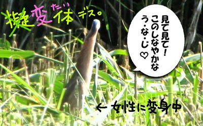 yosigoi04.jpg