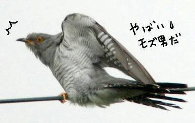 kakkou.jpg