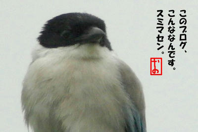 4abe1c85.jpg