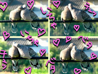 lovelove.jpg