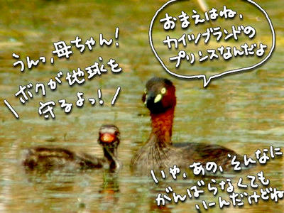 kairubuoyako.jpg