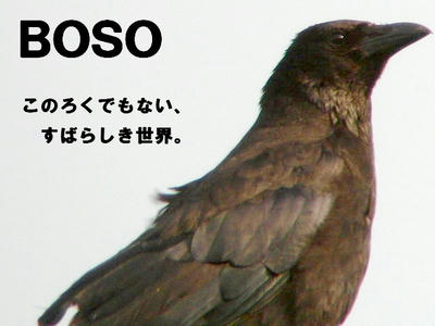 boso.jpg