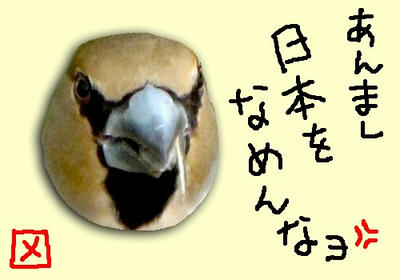 11c8f69e.jpg