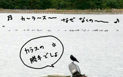 47f7705a.jpg