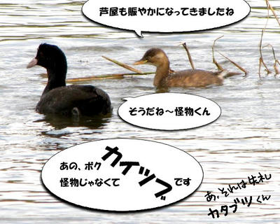 kaibutukun.jpg