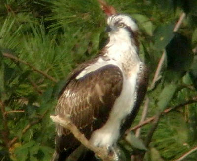 eb0f2924.jpg